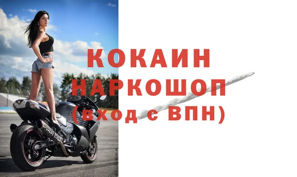 гидра Белокуриха