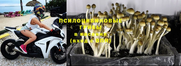 spice Белоозёрский