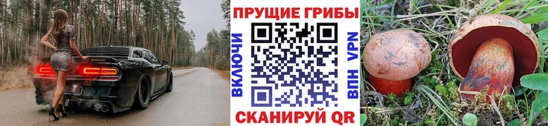 Псилоцибиновые грибы мухоморы  наркота  Кувандык 