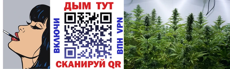 Каннабис AK-47 Кувандык